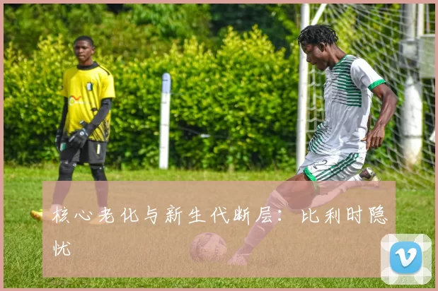 核心老化与新生代断层：比利时隐忧
